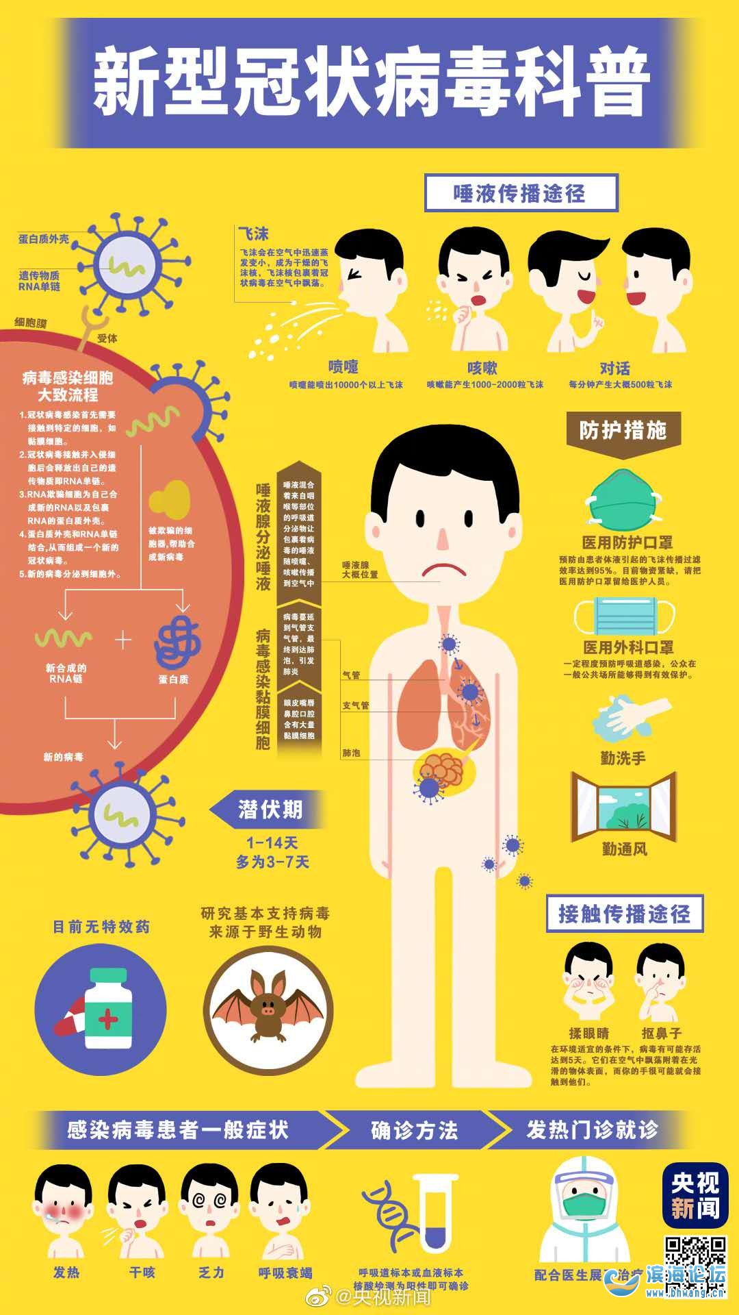 天使动漫论坛有病毒?_天使病毒画_动漫论坛天使病毒有多少集