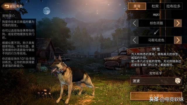 明日之后白树高地高分子宝箱-白树高地探险：高分子宝箱与刺激挑战等你来
