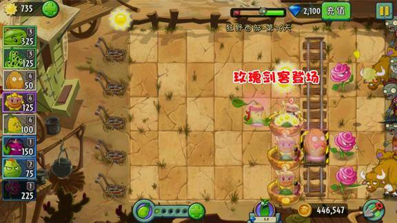 玫瑰剑客要不要升到5级_要剑客玫瑰升级到多少级_要剑客玫瑰升级到什么程度