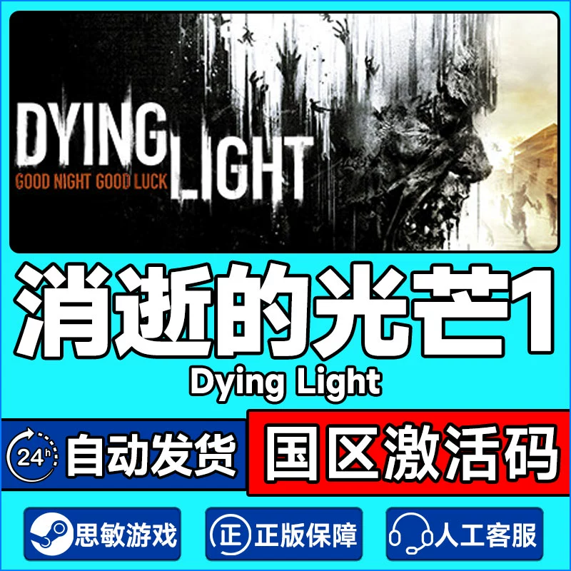 消逝的光芒局域网直连_消逝的光芒怎么区域网联机_消逝的光芒局域网是什么意思