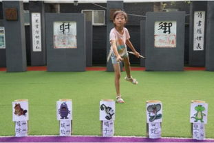 国学投壶游戏,投壶游戏的演变与魅力
