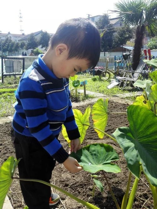 泡泡大作战游戏手机游戏 泡泡大作战游戏手机游戏