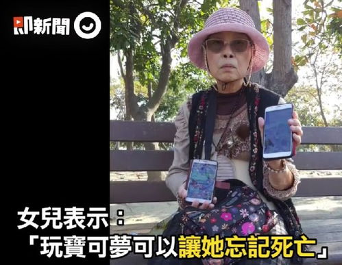 阿姨直聘网 