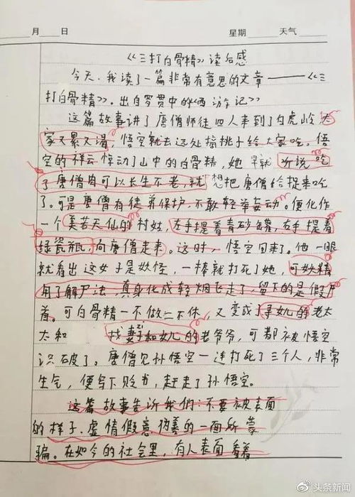 美篇作文 