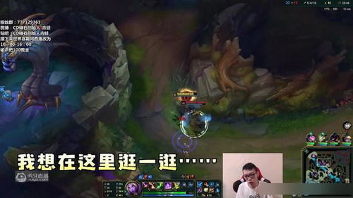 青蛙聊游戏,欢乐无限