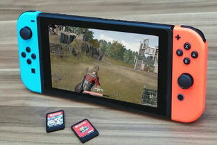 Switch长期游戏