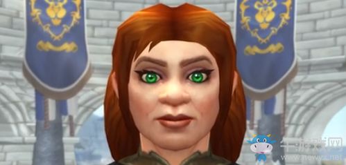 游戏女矮人,矮人世界的传奇冒险