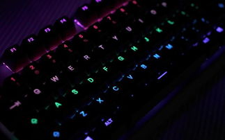 csgo助手辅助app免费下载 