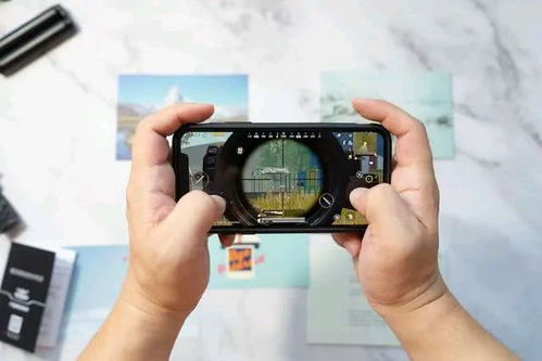 粉末游戏不用登录版 