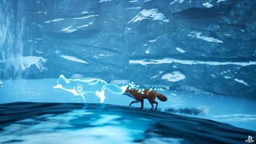 雪狐狸 