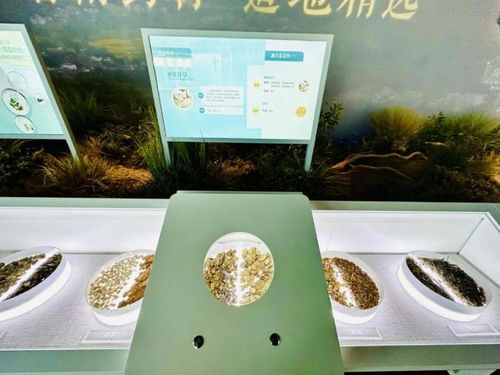 泡泡大作战游戏手机游戏 