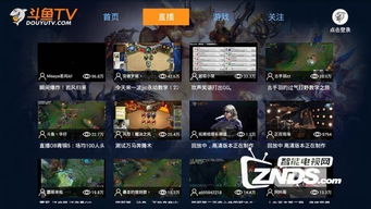 我的女神是仆从冷狐版游戏直装 