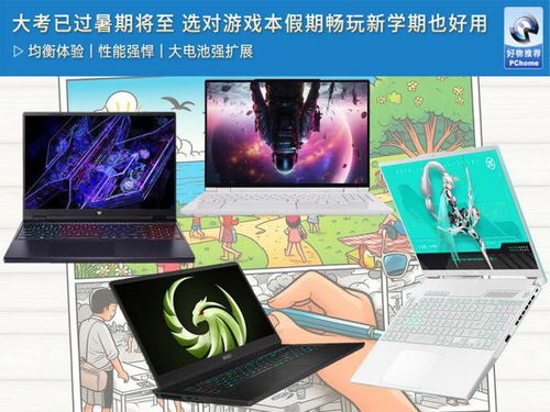 专升本学习宝典 专升本学习宝典