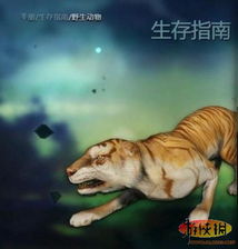果盘游戏最新版 