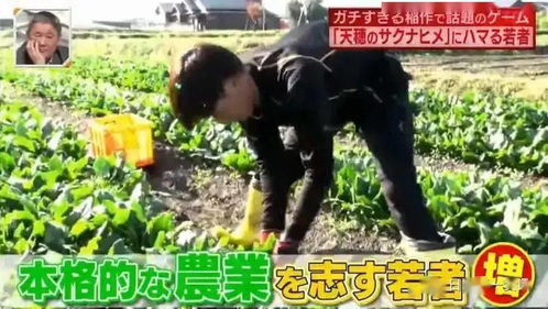 修仙种田录 