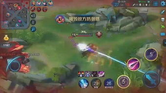 南方有乔木游戏网易官方版手机下载 